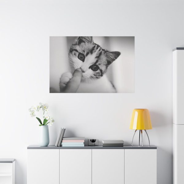91638-217.jpg Kitten and Finger Standard Canvas
