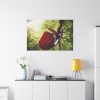 Red Lily Standard Canvas