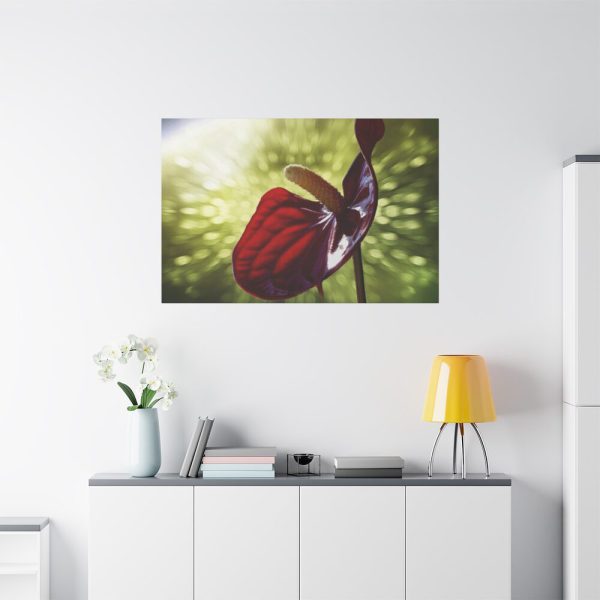 Red Lily Standard Canvas