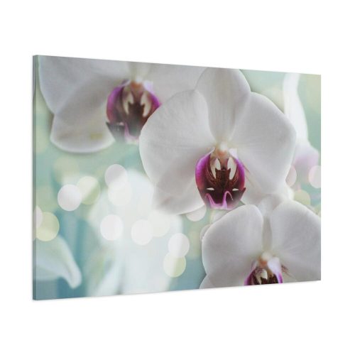 Flowering Plant Standard Canvas