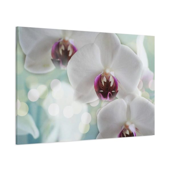 Flowering Plant Standard Canvas