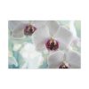 Flowering Plant Standard Canvas