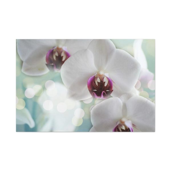Flowering Plant Standard Canvas