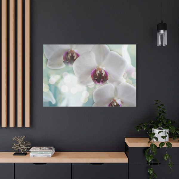 Flowering Plant Standard Canvas