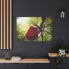 Red Lily Standard Canvas