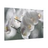 Orchids Elegant  Standard Canvas