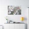 Orchids Elegant  Standard Canvas