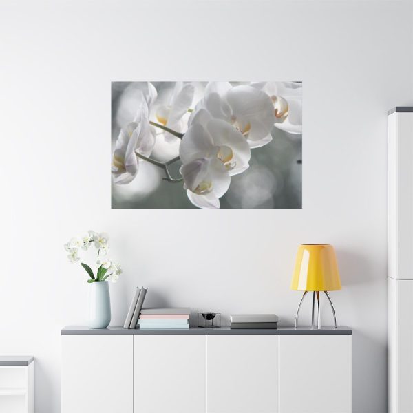 Orchids Elegant  Standard Canvas
