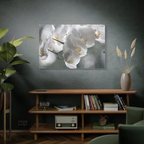 Orchids Elegant  Standard Canvas