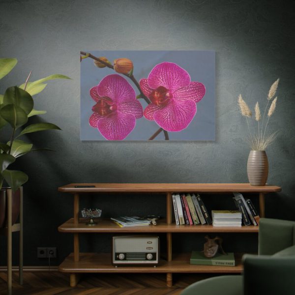 91638-239.jpg Pink Moth Orchid Standard Canvas