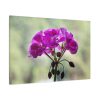 91638-240.jpg Colorful Flower Standard Canvas