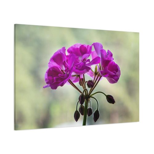 Colorful Flower Standard Canvas