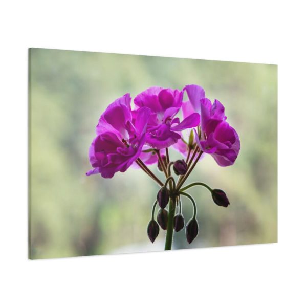 91638-240.jpg Colorful Flower Standard Canvas
