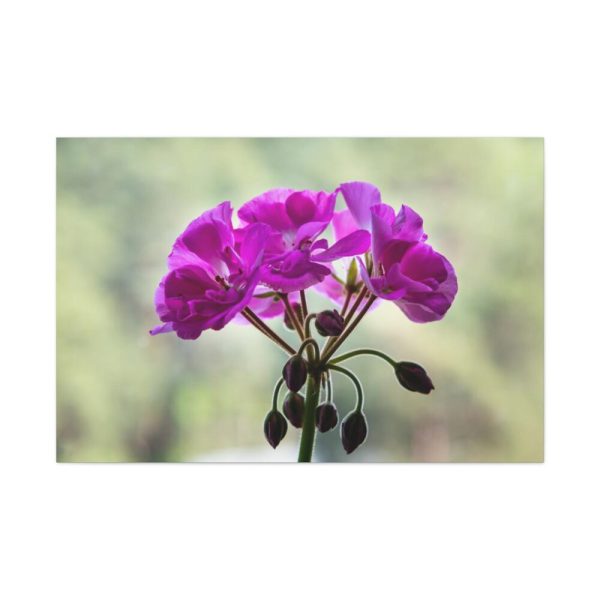91638-241.jpg Colorful Flower Standard Canvas