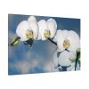 White Flower Standard Canvas