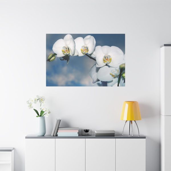 White Flower Standard Canvas