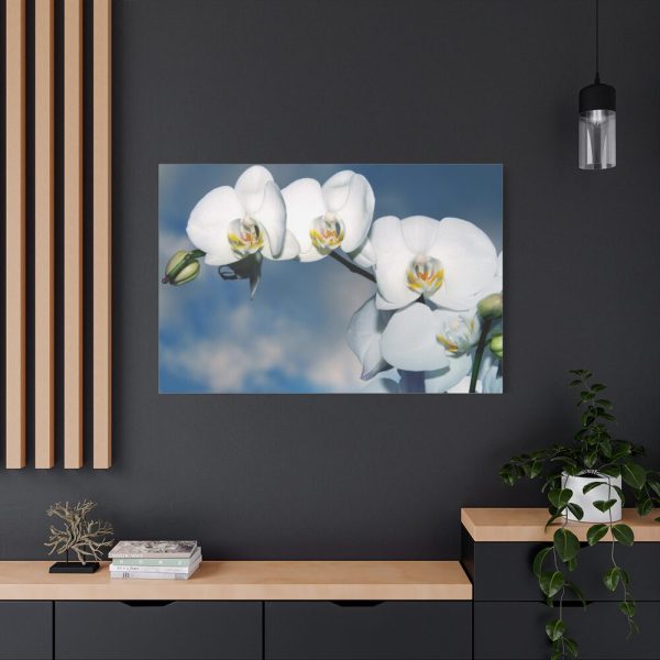White Flower Standard Canvas