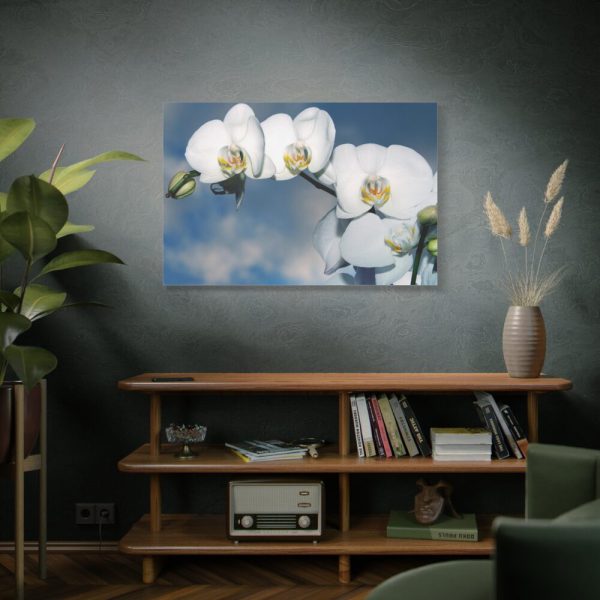 White Flower Standard Canvas