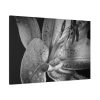 Black and White  Standard Canvas