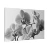Orchid Meadow Standard Canvas