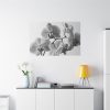 Orchid Meadow Standard Canvas