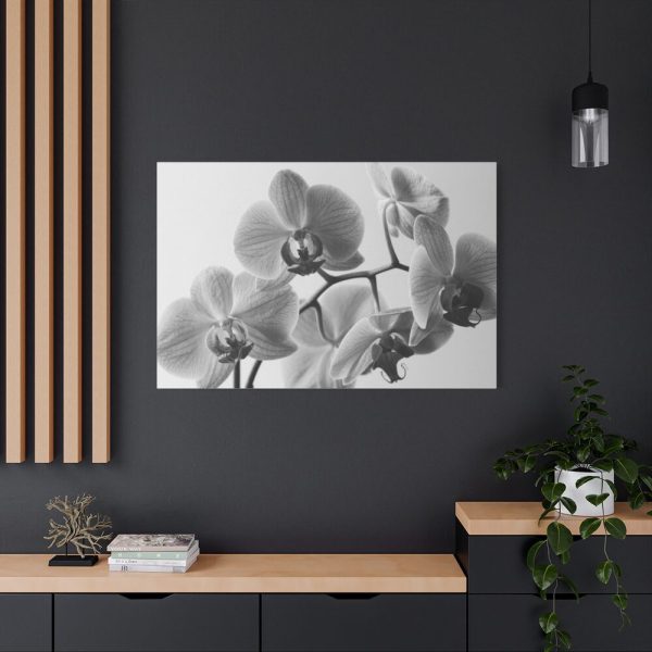 Orchid Meadow Standard Canvas