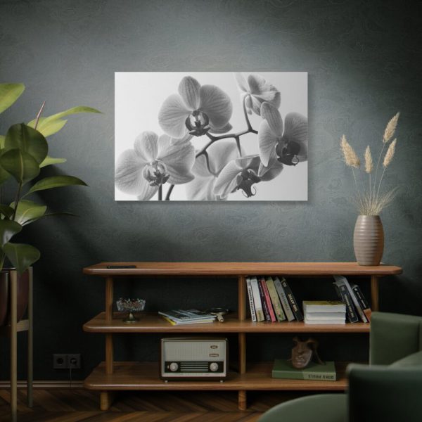 Orchid Meadow Standard Canvas