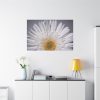 91638-257.jpg White Daisy Standard Canvas