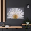 91638-258.jpg White Daisy Standard Canvas