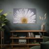 91638-259.jpg White Daisy Standard Canvas