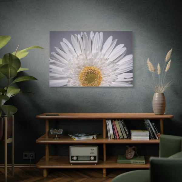 91638-259.jpg White Daisy Standard Canvas