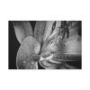 Black and White  Standard Canvas