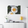 91638-262.jpg White Daisy Flower Standard Canvas