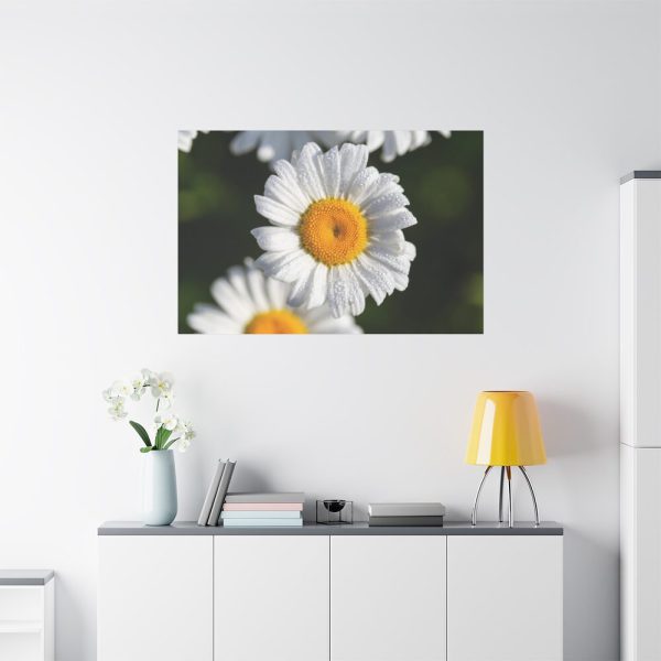 91638-262.jpg White Daisy Flower Standard Canvas