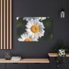 91638-263.jpg White Daisy Flower Standard Canvas