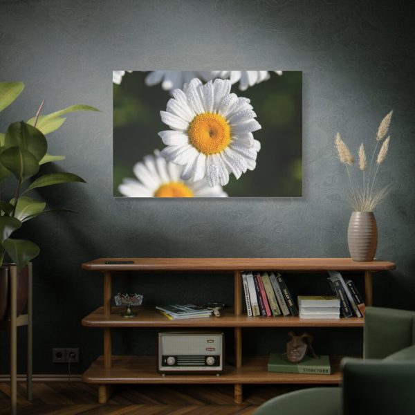 91638-264.jpg White Daisy Flower Standard Canvas