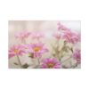 91638-266.jpg Blooming Pink Daisies Standard Canvas