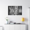 Black and White  Standard Canvas