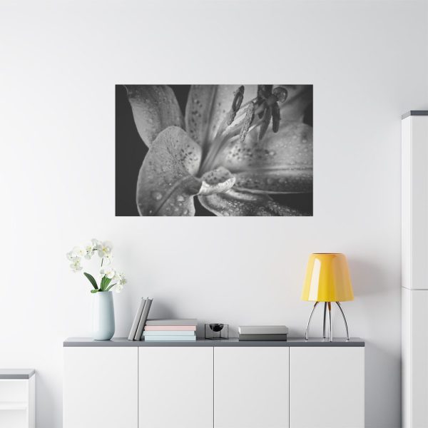Black and White  Standard Canvas