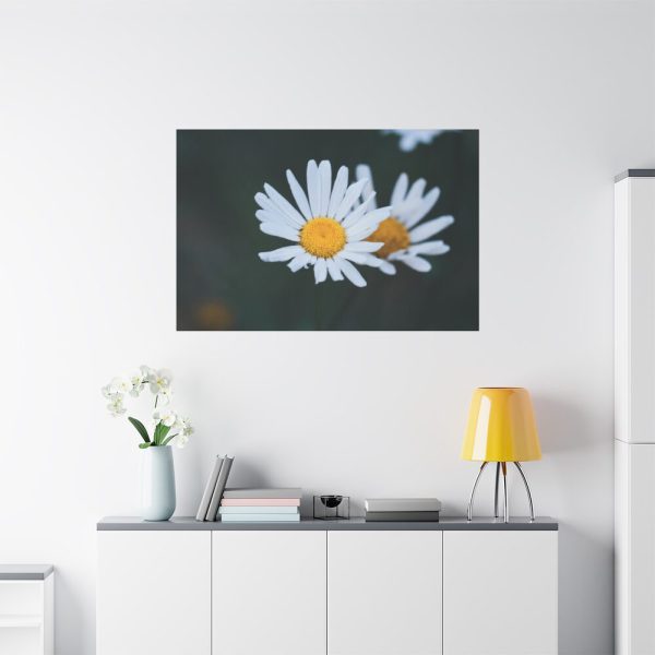 91638-272.jpg Wild Daisy Standard Canvas
