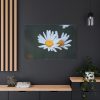 91638-273.jpg Wild Daisy Standard Canvas