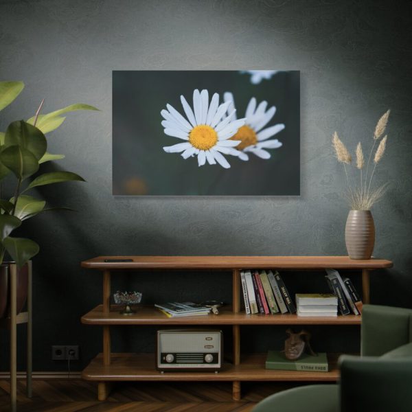 91638-274.jpg Wild Daisy Standard Canvas