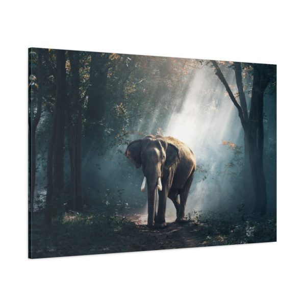 Elephant in Nature Standard Canvas