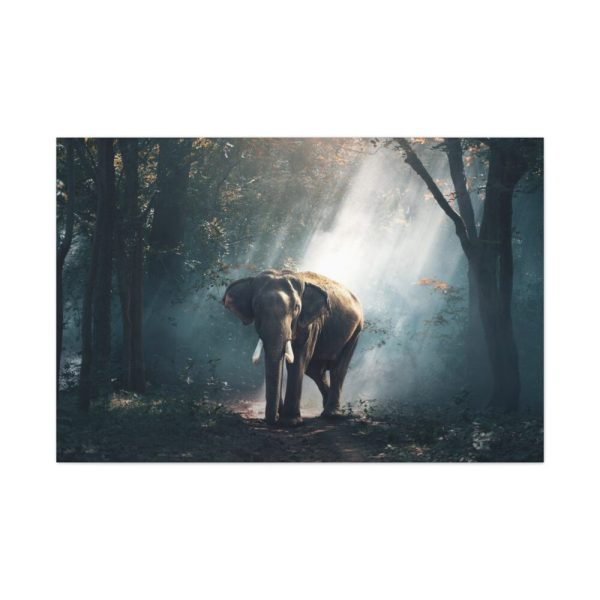 Elephant in Nature Standard Canvas