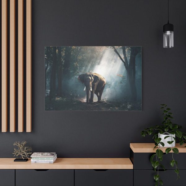 Elephant in Nature Standard Canvas