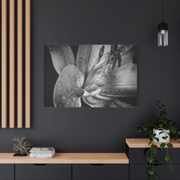 Black and White  Standard Canvas