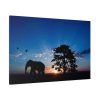91638-285.jpg Elephant and Sunset Standard Canvas
