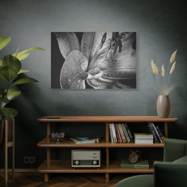Black and White  Standard Canvas