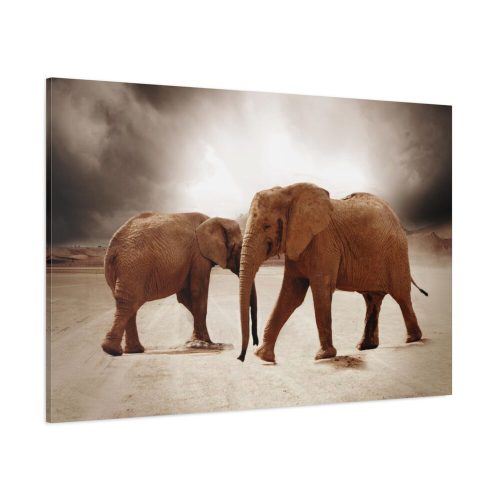 African Elephants Standard Canvas
