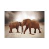91638-291.jpg African Elephants Standard Canvas